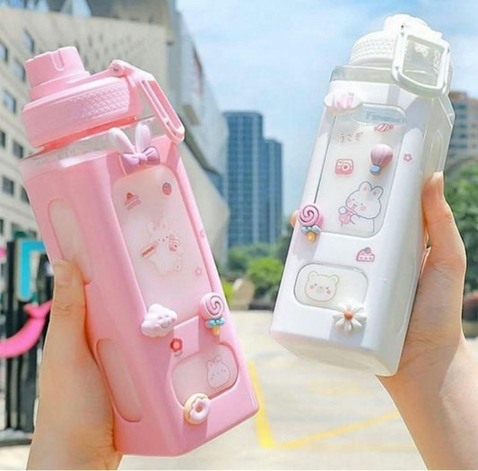 Kawaii Water Bottle with Straw and Sticker (Assorted Color)